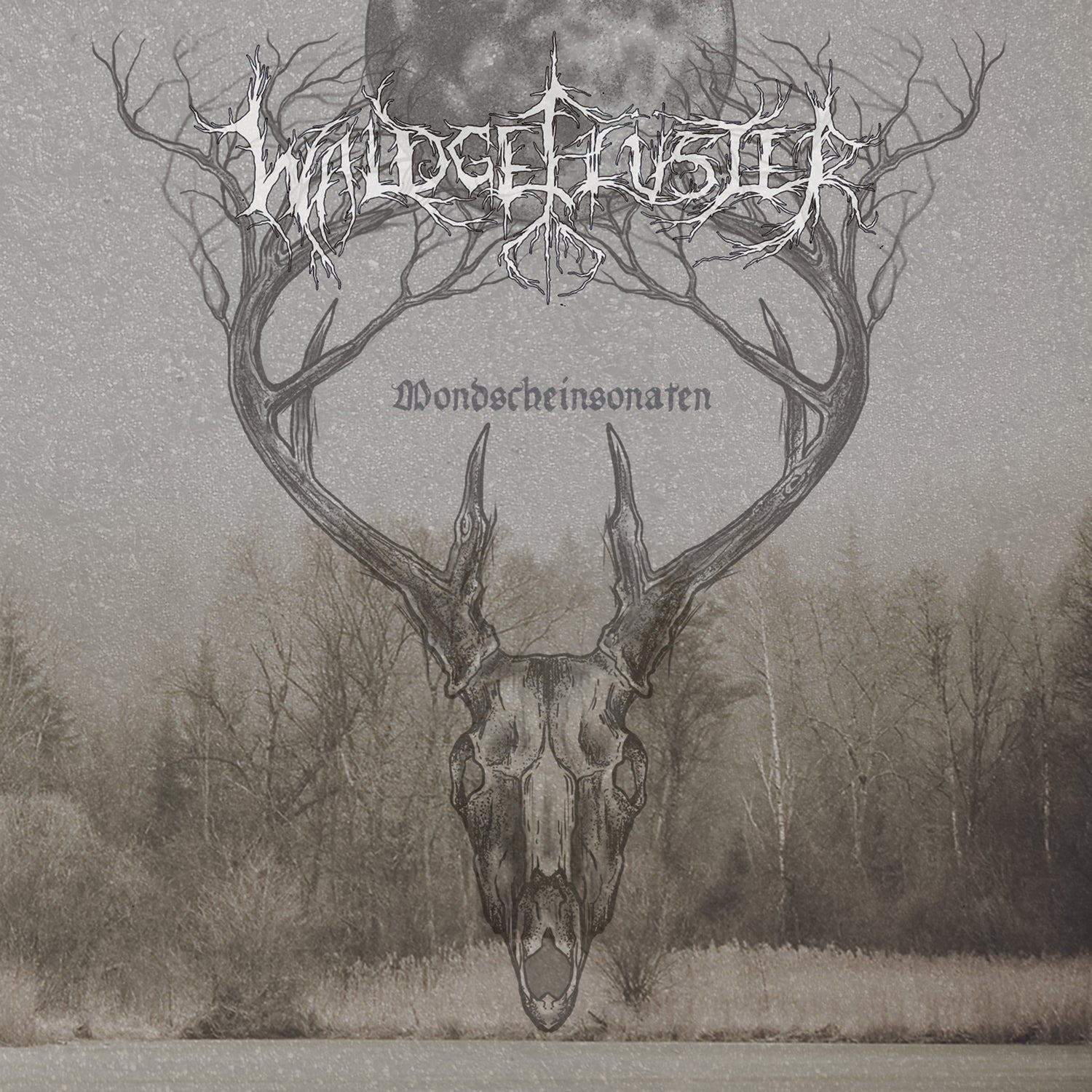 Waldgeflüster - Mondscheinsonaten (CD)